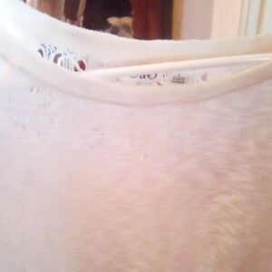 Cato Ivory Lace Accent Tunic